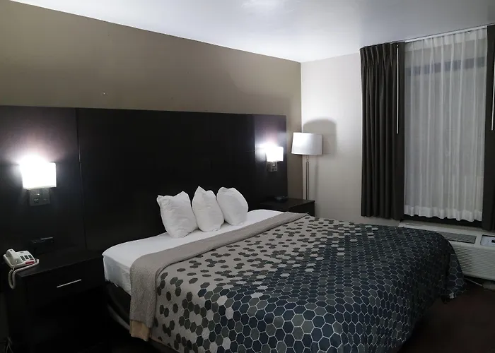 Lodge Travelodge By Wyndham North Charleston